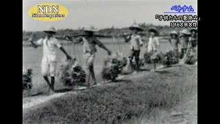 子供たちの夏休み(1968年8月)/ ベトナム記録映像アーカイブ - YouTube