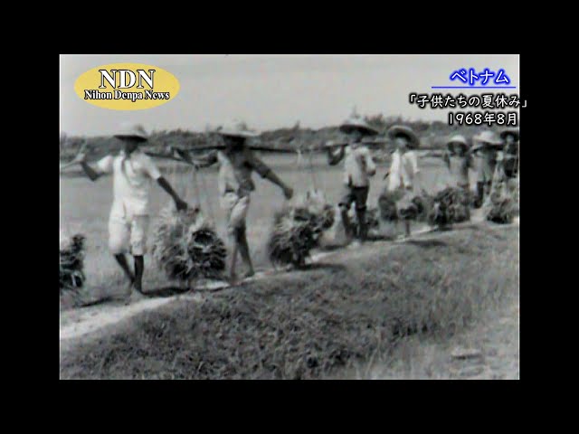南ベトナム採集紀行 子供たちの夏休み(1968年8月)/ ベトナム記録映像アーカイブ - YouTube