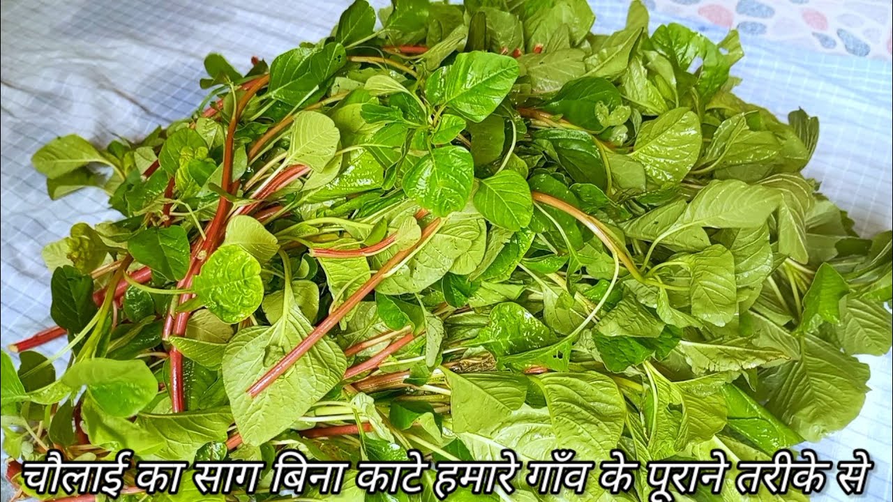 chaulai ka saag । genhari saag recipe । chaulai saag simple recipe