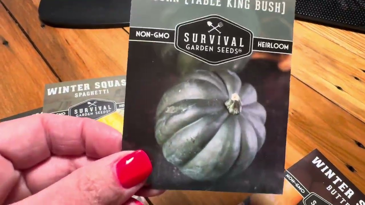 Check Out This Squash Seed Collection, I Love All The Seeds