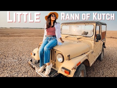 Video: Little Rann of Kutch: On the rann