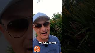 Celebrity Save Money on Movie Tickets: The Ultimate Guide to Buying Online Net Worth