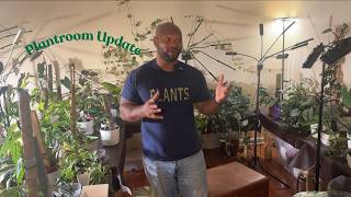 September Plantroom Changes