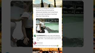 This video is for demonstration.#memes