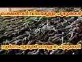 Silk worm farming full tutorial in Malayalam: How silk is made: Silk processing making from silkworm