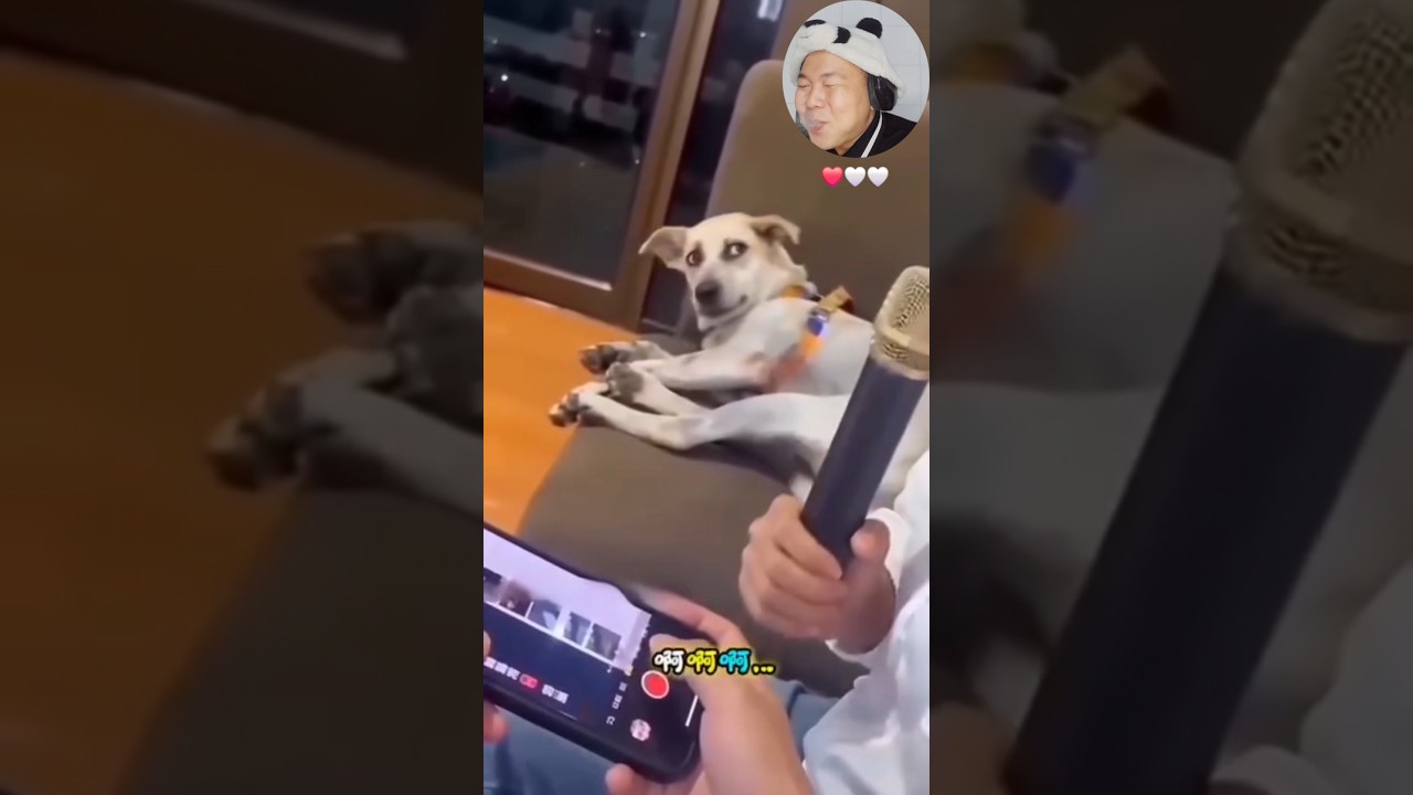 You laugh you lose 10 🤣
