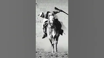 فرسان الشاوية و البارود يلالي 