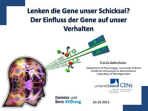 Video: Assoziationen Zwischen Dem Polymorphismus Des Oxytocinrezeptor-Gens (OXTR) Rs53576 Und Der Emotionalen Verarbeitung Sozialer Und Nicht Sozialer Signale: Eine Ereignisbezogene Poten