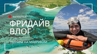 видео: ВЛОГ | КАК МЫ НЫРЯЕМ НА МАВРИКИИ | Фридайвинг в Тамарине картинка: ВЛОГ | КАК МЫ НЫРЯЕМ НА МАВРИКИИ | Фридайвинг в Тамарине