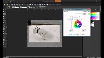 Making Your Own Meme in Corel PaintShop Pro X5