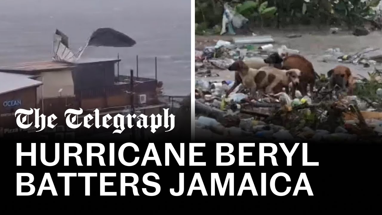 Dogs drift on debris in Jamaica floodwaters as hurricane Beryl batters ...