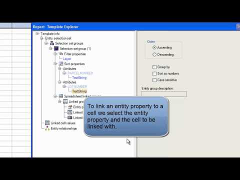 Basic Report Example