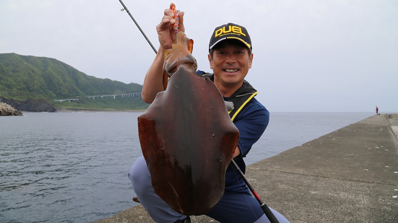 エギマスター シャクリの方法