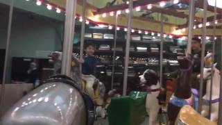 Carillon Park carousel
