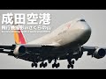 【VLOG】成田空港からさくらの山まで徒歩移動! からの飛行機撮影。