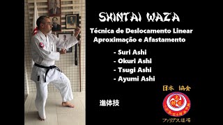 Shintai Waza (Técnica de Deslocamento Linear - Aproximação e Afastamento) - Nippon Kyokai - Brasil