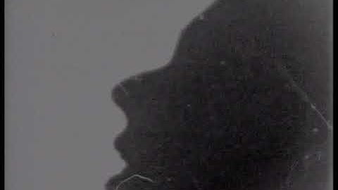 Stereolab - The Free Design (Official Video)