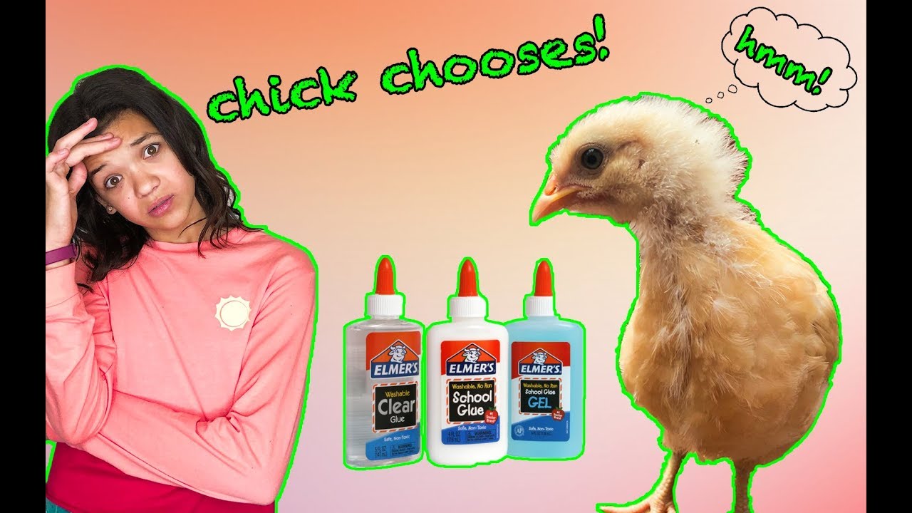 PET CHICKEN chooses my SLIME INGREDIENTS! Bad Idea! YouTube