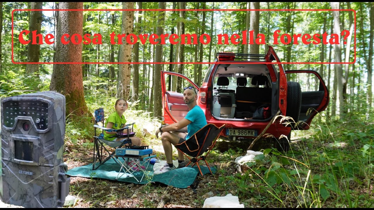 Fototrappola nella foresta del Trnovo, Slovenia