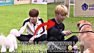 JIKOOK- Conexión sorprendente con lindos cachorros🥹LOS PERRITOS LOS QUIEREN JUNTOS 🩷