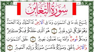 سورة التغابن مكتوبة محمد عبد الكريم Surah Al Taghabon  برواية ورش عن نافع من طريق الاصبهاني