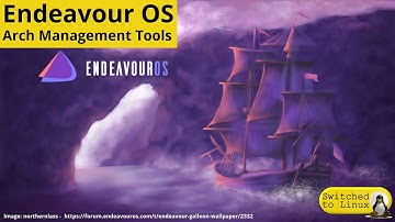 Endeavour OS: Arch Management Tools