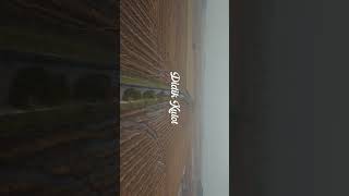 Skc Seluruh Dunia Jangan Sdanai Ketinggalan Ya