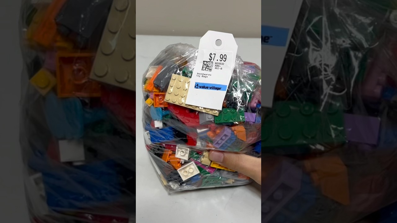 What is inside this $8 lego surprise bag? 