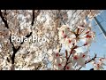 【iPhone11Pro】松尾勇輝がPolarproでテスト撮影！-  [IPhone 11 Pro] Test shot with Polarpro!