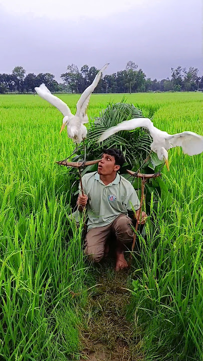Bengali big boobs caught🦩🦩🤩👺 super#comedy#shortvideo#South Korea#Vietnam#Indonesia#Brazil