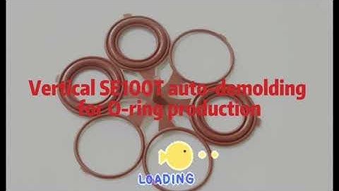 vertical SE100T automatic demolding for O Ring production