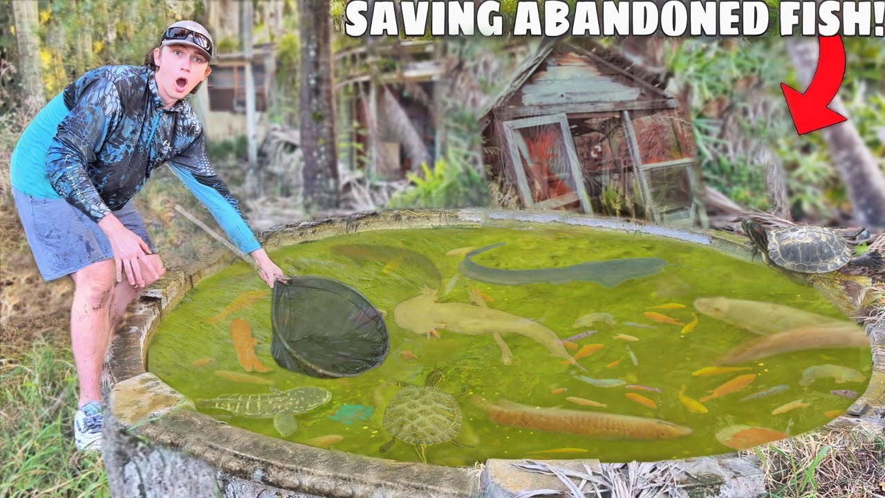 Saving Fish  Turtles From ABANDONED POND