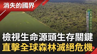 直擊全球森林之死! 森林成人類生存關鍵 更是抵禦災難性氣候變遷最後防線 生態圈系統性失調釀林地生存挑戰 重回森林源頭審視人與土地關係 │李文儀主持│【消失的國界完整版】20230617│三立新聞台