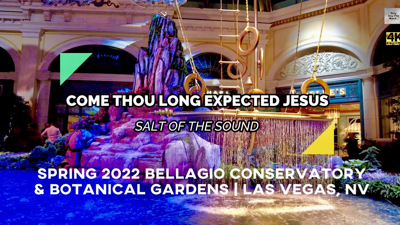 Come Thou Long Expected Jesus - Salt of the Sound (Song with Lyrics) 🎶 | #8