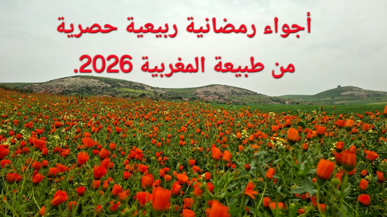 أجواء رمضانية ربيعية حصرية من طبيعة المغربية #2026 