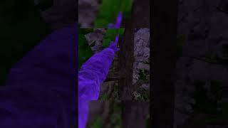 Dusting Comp Lobbies For Fun #gorillatag #gorillatagquest #gorillatagmontage #gtag #vr #gorilla