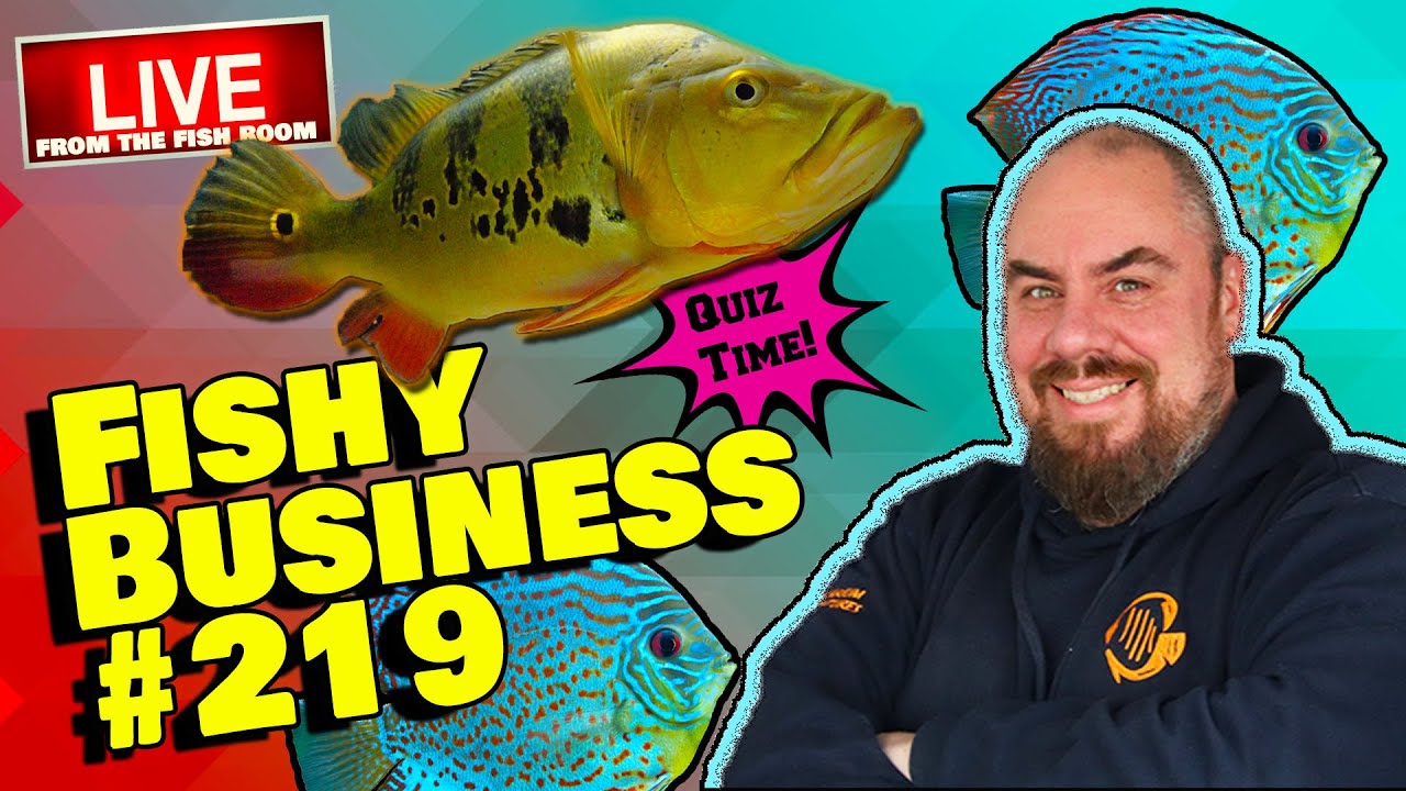 Friday Night Live! - Fishy Business #219