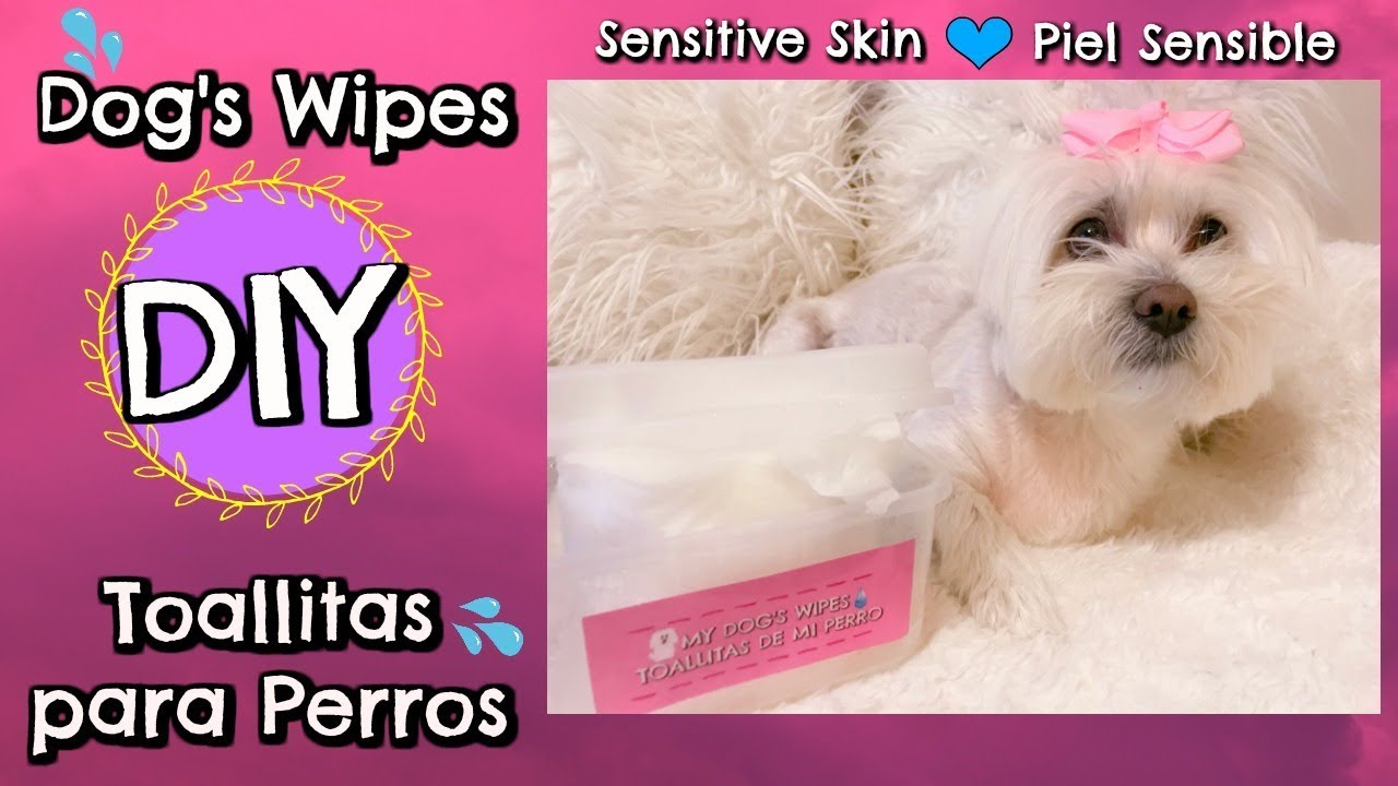 Especificado Patético caballo de fuerza DIY Dog wipes sensitive skin I Toallitas para Perros de piel sensible I  Lorentix - YouTube