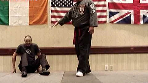 Paul Mills American Kenpo Energy Video Clip
