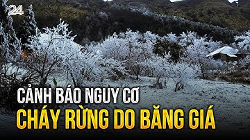 Cảnh báo nguy cơ cháy rừng do băng giá | VTV24
