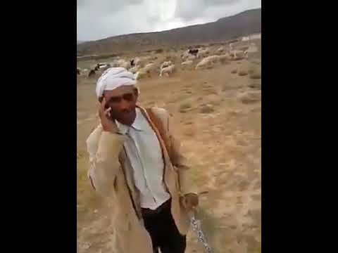 الفنان القدير النوي عواشرية