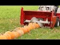 100 Pumpkins vs Snowblower