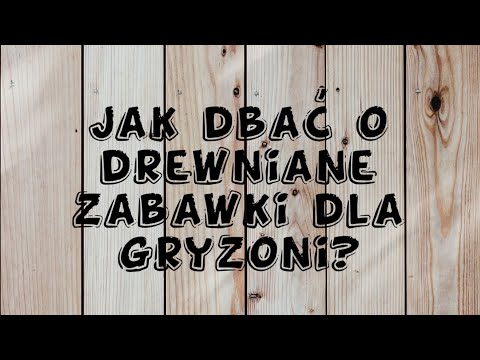 Wideo: Jak Dbać O Gryzonie?