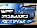 TRADING📈: Cómo crear CUENTA DEMO, Configurarla y Utilizarla.