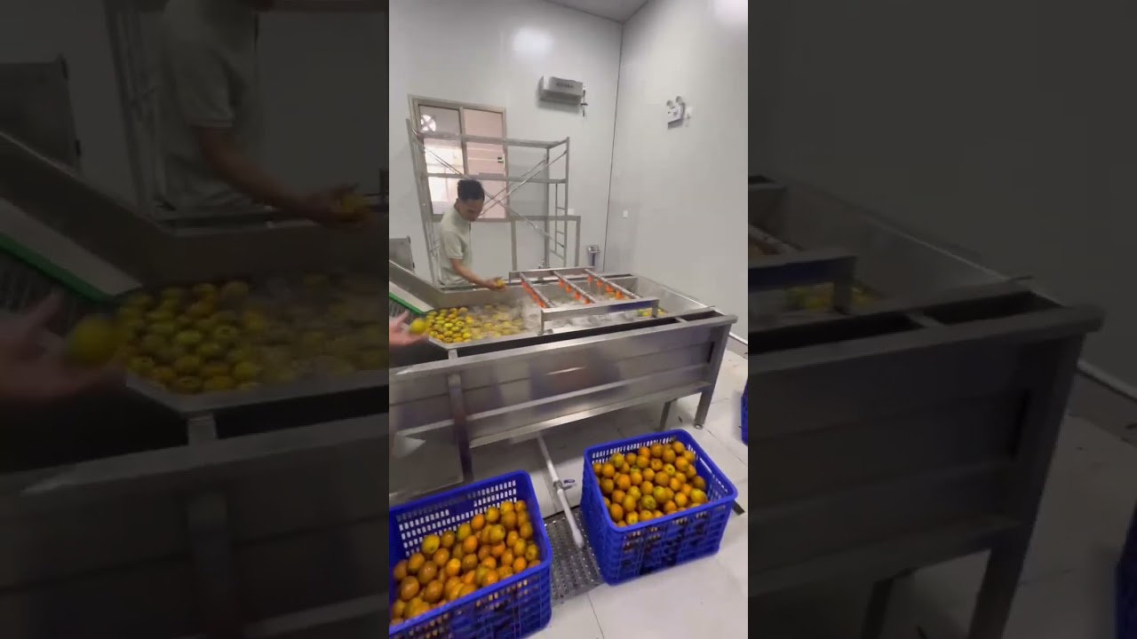 fruit wine equipment