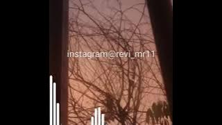 SAHABAT SEHIDUP SESURGA-Tim Ricis😊|Story WA