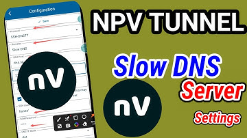 How to setup  NPV Tunnel vpn with slow dns server for secure browsing