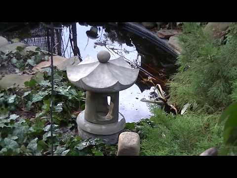 Vídeo: Jardí De Roca Japonès
