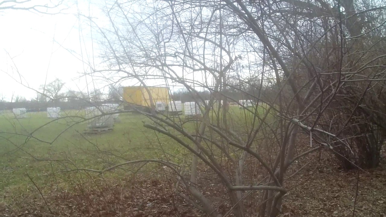 Badlandz Paintball 3/5/17 CTF YouTube