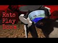 Rats Play Doom